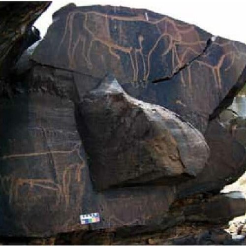 Tachokaltrupestres-1