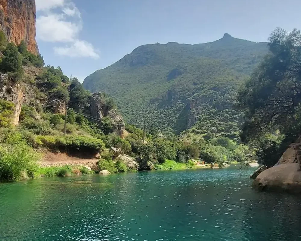 akchour-2