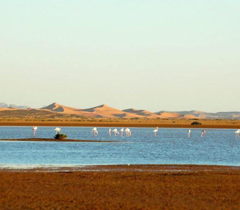 lac-merzouga-maroc