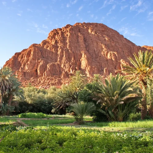 landscape-of-dades-valley-in-morocco