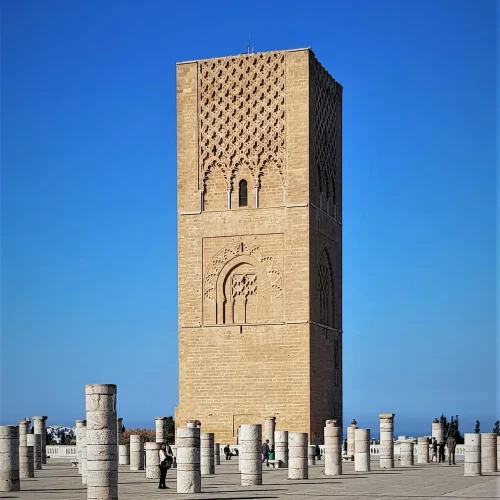 pexels-ivan-drazic-20457695-6555997