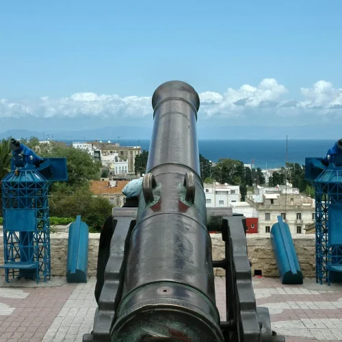 pexels-mographe-11517333