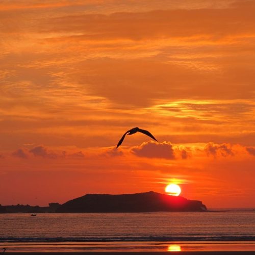 sunset-586556_1280